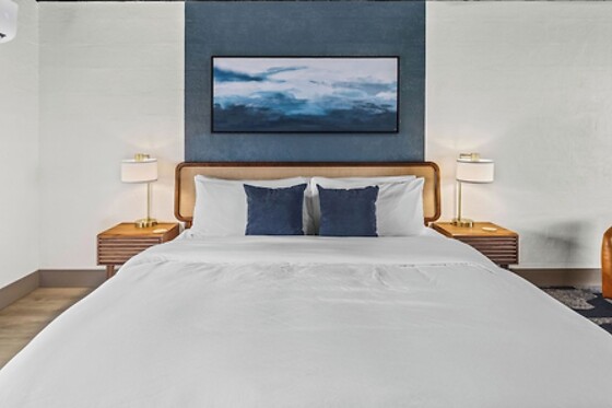 Online Booking EPS - photo 1