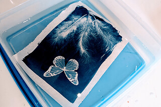 Atelier découverte Cyanotype à Paris 20ème