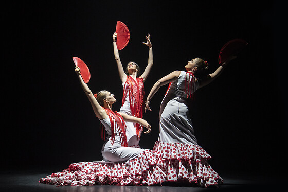TEATRO FLAMENCO BARCELONA - photo 1