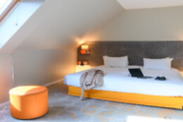 Ibis Styles Tours Centre