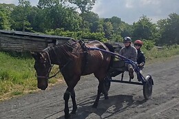 Haras du Saint Georges