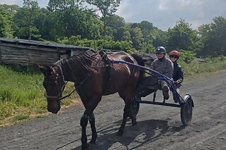 Baptême de Sulky tandem - Haras du Saint Georges - Escarmain (59)