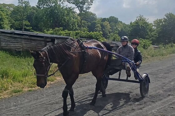 Baptême de Sulky tandem - Haras du Saint Georges - Escarmain (59)