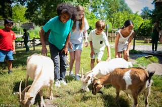 Jardin D'Acclimatation - 1 jour en famille (2 adultes + 2 enfants)