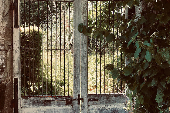 Château Gros Puy - photo 4